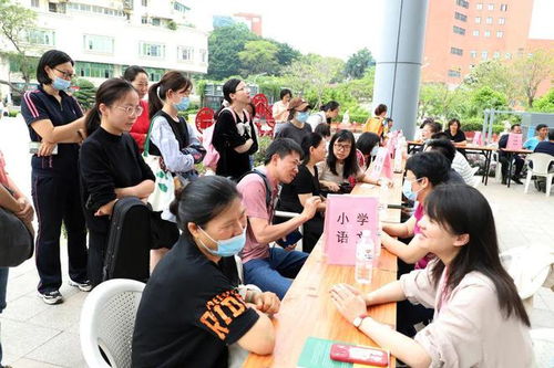 教育公益咨询志愿服务活动成功举办，助力教育咨询服务发展